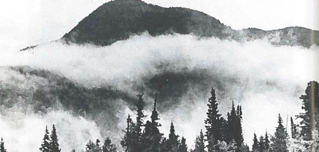 История семьи Лыковых История семьи Лыковых