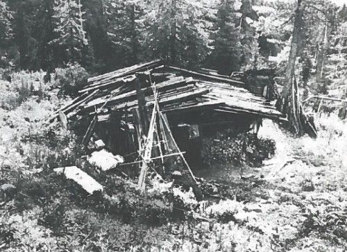 История семьи Лыковых История семьи Лыковых