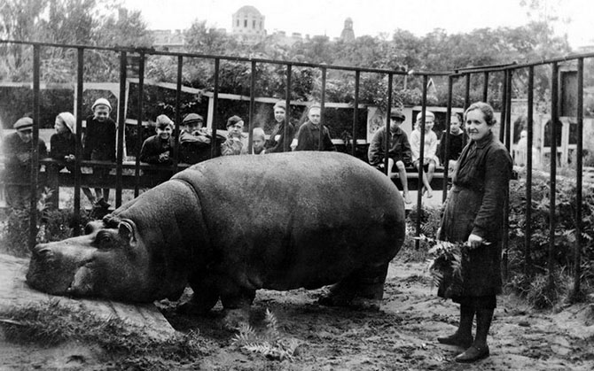 Как выживали в блокадном Ленинграде