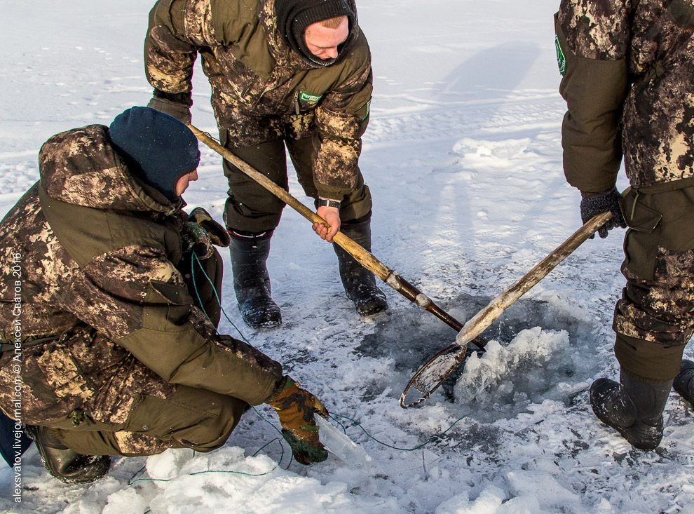 Борьба с браконьерами на Байкале Борьба с браконьерами на Байкале
