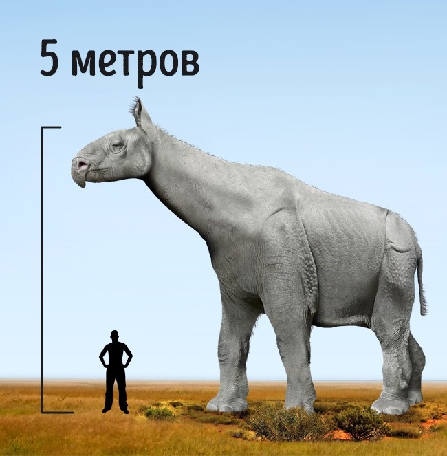 10 самых больших животных, которые когда-либо жили 10 самых больших животных, которые когда-либо жили