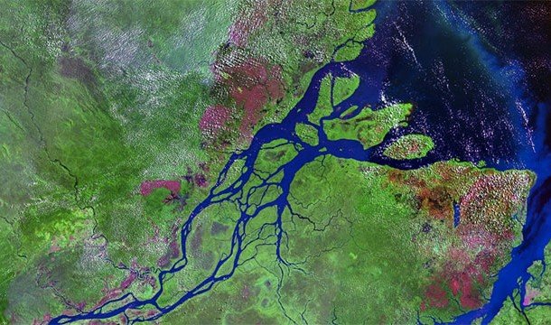 Невероятные факты про Амазонку, которые делают её уникальнейшим местом на Земле Невероятные факты про Амазонку, которые делают её уникальнейшим местом на Земле