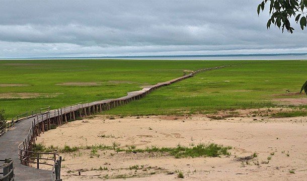 Невероятные факты про Амазонку, которые делают её уникальнейшим местом на Земле Невероятные факты про Амазонку, которые делают её уникальнейшим местом на Земле