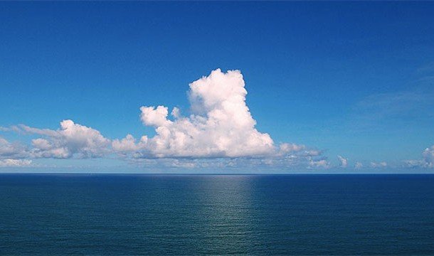 Невероятные факты про Амазонку, которые делают её уникальнейшим местом на Земле Невероятные факты про Амазонку, которые делают её уникальнейшим местом на Земле
