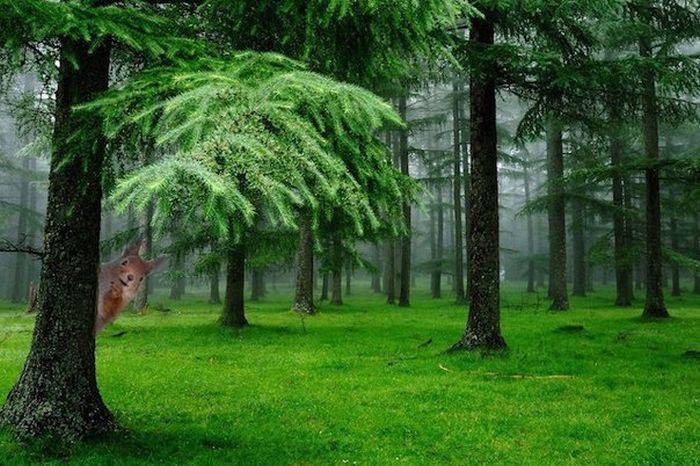 Короткие и любопытные факты Короткие и любопытные факты