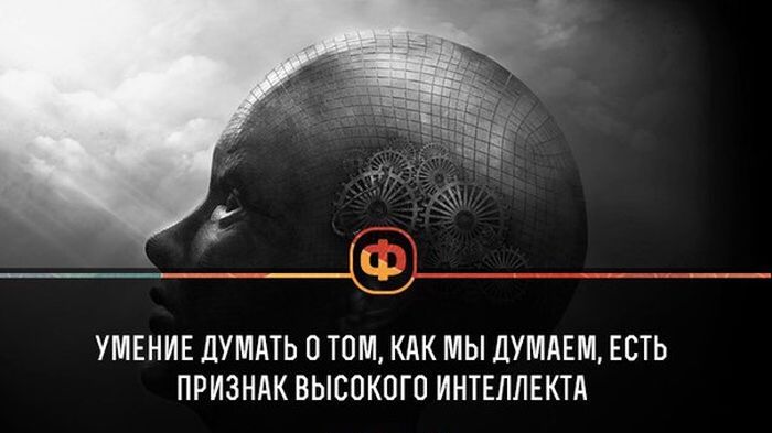 Короткие и любопытные факты Короткие и любопытные факты