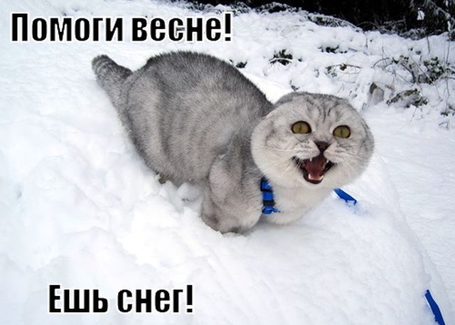 Весенний бунт