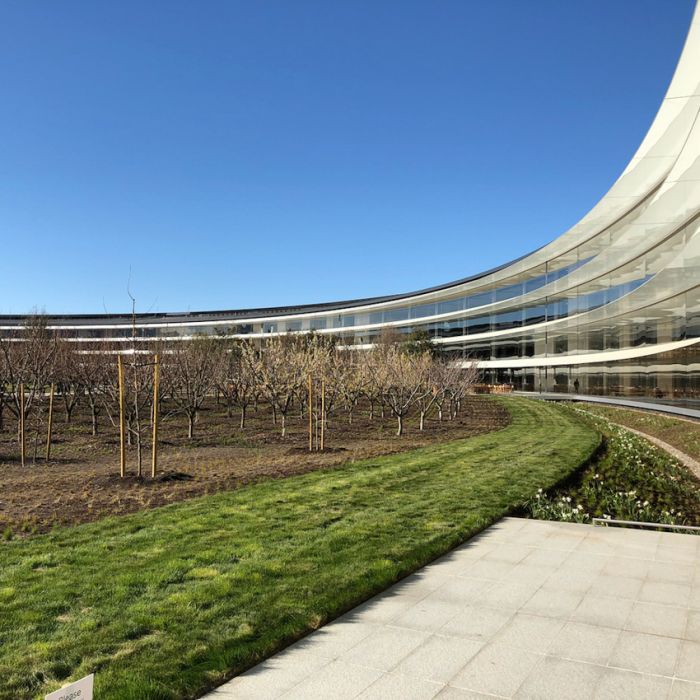 Запретная территория Apple