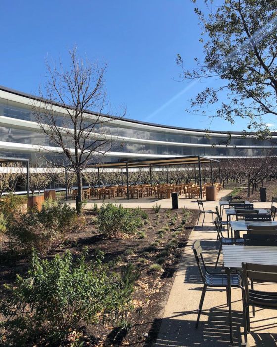 Запретная территория Apple
