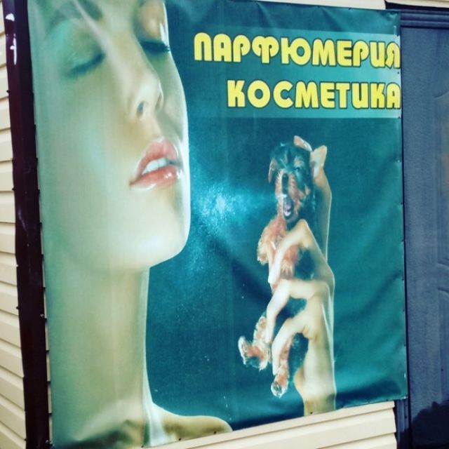 27 фотографий, которые приводят в ступор