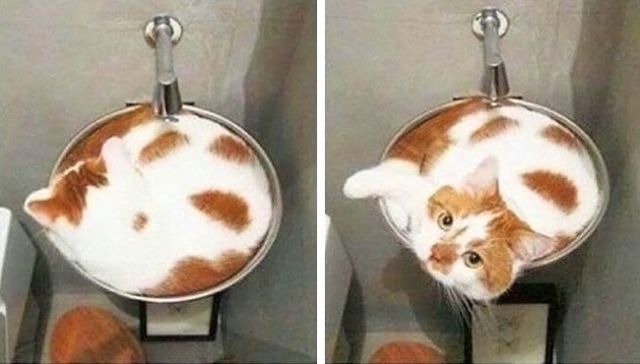 27 фотографий, которые приводят в ступор