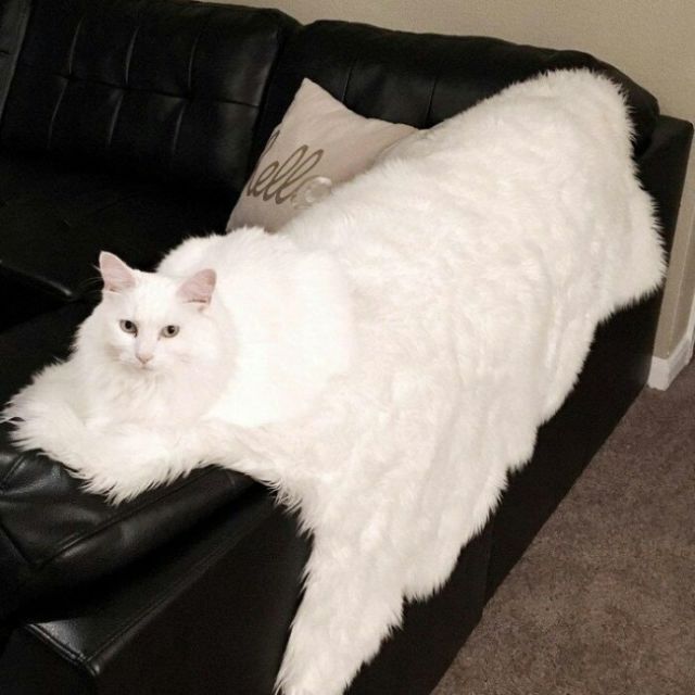 27 фотографий, которые приводят в ступор