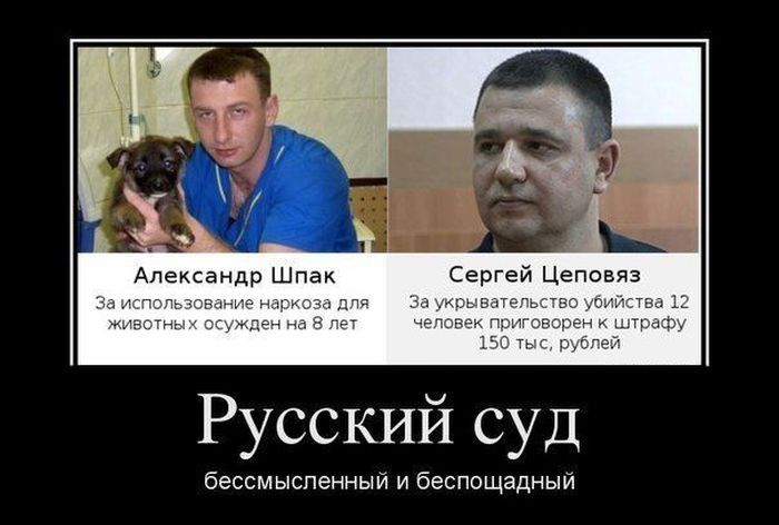 Демотиваторы
