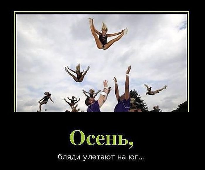 Демотиваторы