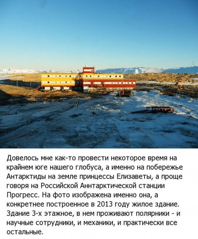 Жизнь в Антарктиде (19 фото)