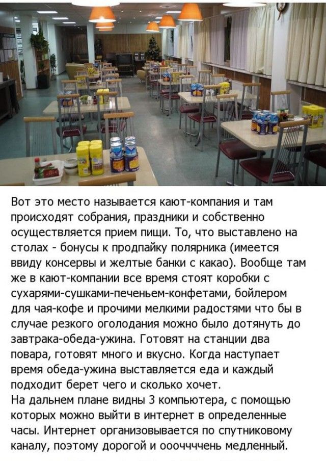 Жизнь в Антарктиде (19 фото)