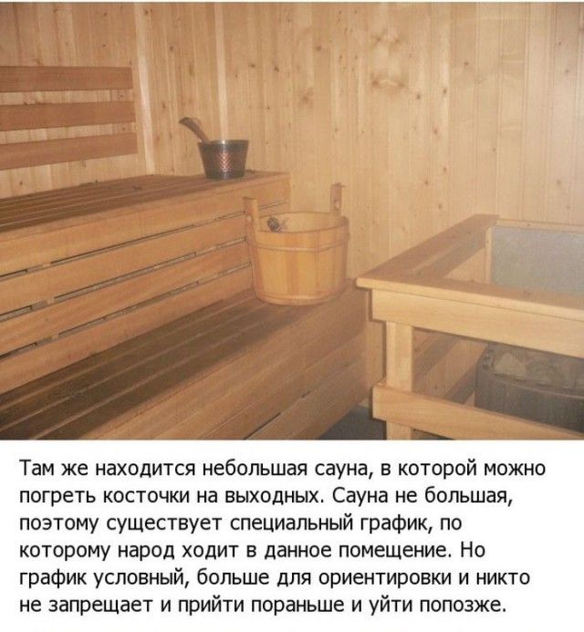 Жизнь в Антарктиде (19 фото)