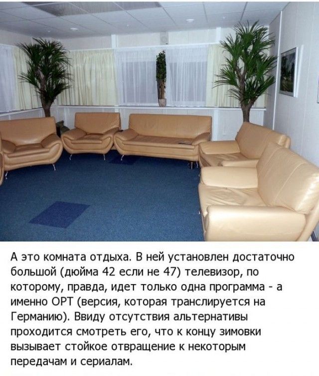 Жизнь в Антарктиде (19 фото)