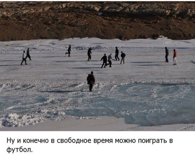 Жизнь в Антарктиде (19 фото)