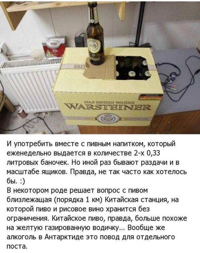 Жизнь в Антарктиде (19 фото)