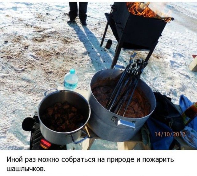 Жизнь в Антарктиде (19 фото)