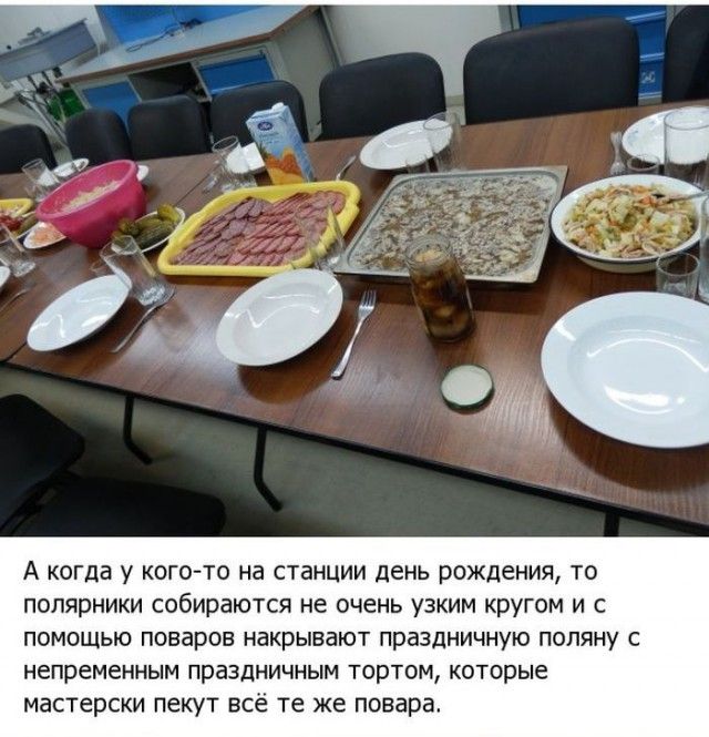 Жизнь в Антарктиде (19 фото)