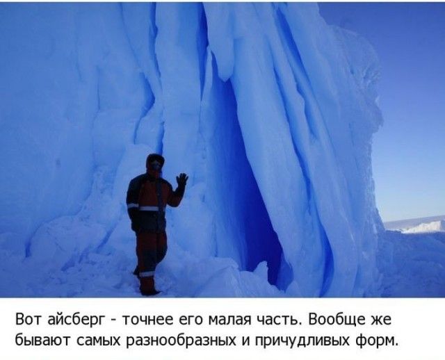 Жизнь в Антарктиде (19 фото)