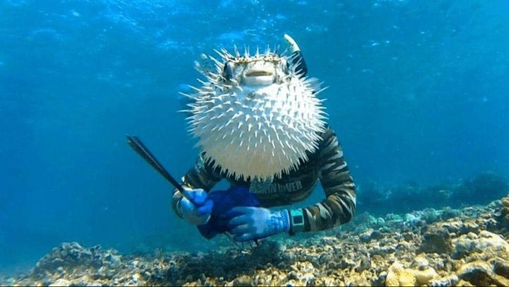 18 уморительных животных, которые умеют фотобомбить как никто другой 18 уморительных животных, которые умеют фотобомбить как никто другой