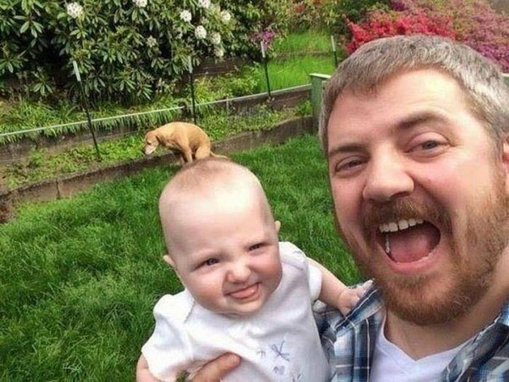 18 уморительных животных, которые умеют фотобомбить как никто другой 18 уморительных животных, которые умеют фотобомбить как никто другой