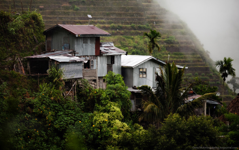 Рисовые террасы Банауэ Рисовые террасы Банауэ