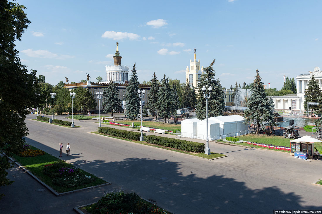 Караул, деревья спилили Караул, деревья спилили