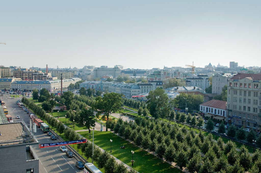 Караул, деревья спилили Караул, деревья спилили