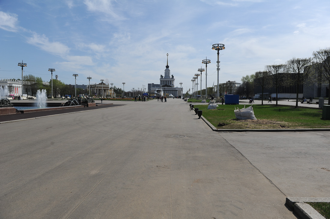 Караул, деревья спилили Караул, деревья спилили