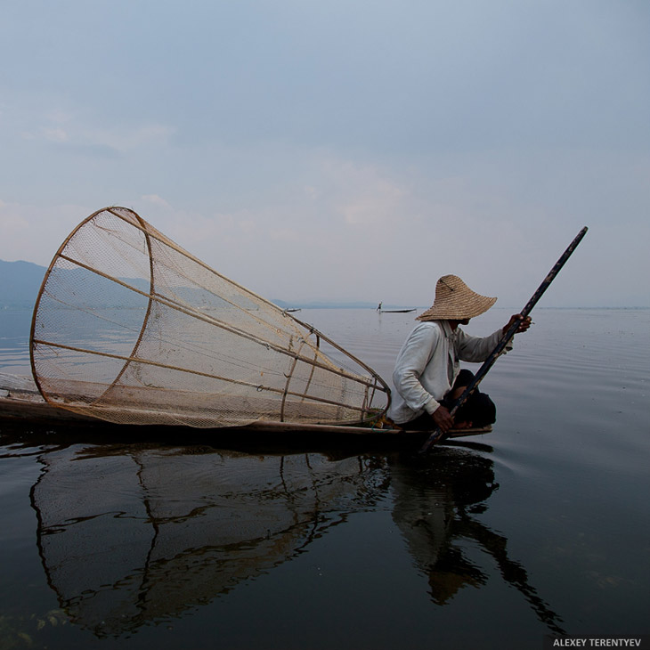 Жизнь на воде Жизнь на воде
