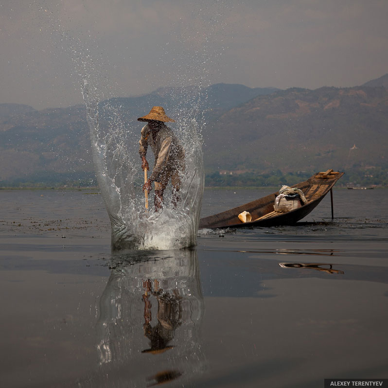 Жизнь на воде Жизнь на воде
