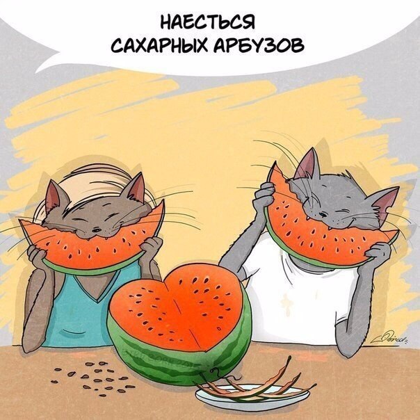 За что мы любим лето