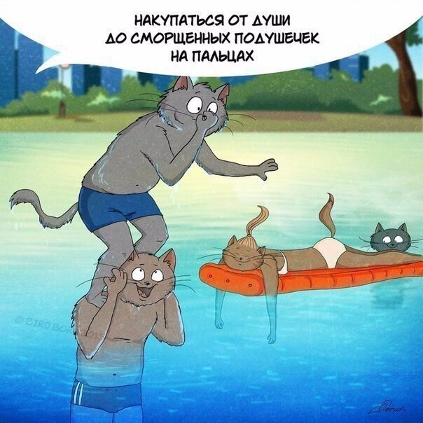 За что мы любим лето