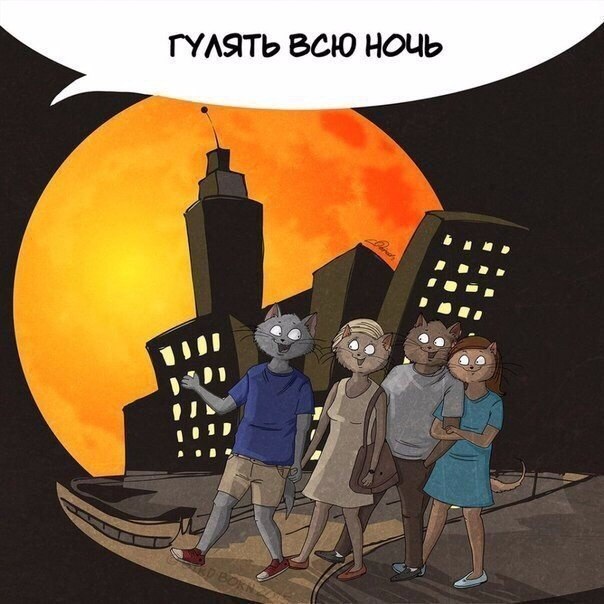 За что мы любим лето