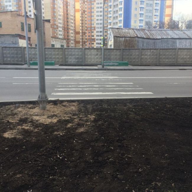 Суровые российские пешеходные переходы