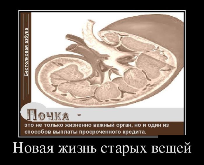 Демотиваторы