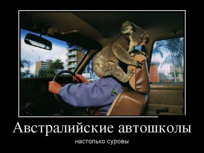 Демотиваторы