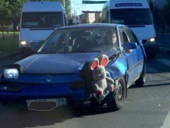 Прикольные картинки