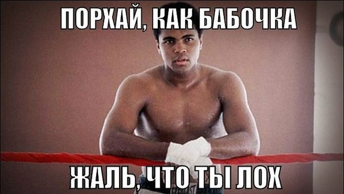 Прикольные картинки