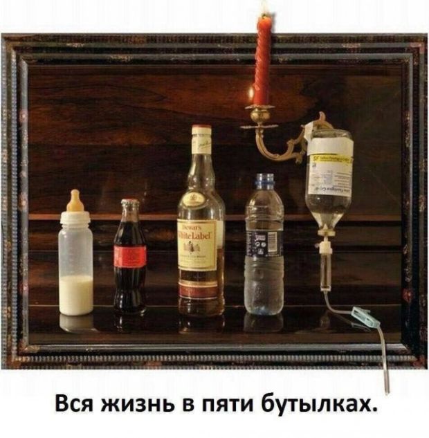 Прикольные картинки