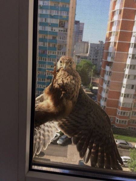 Прикольные картинки