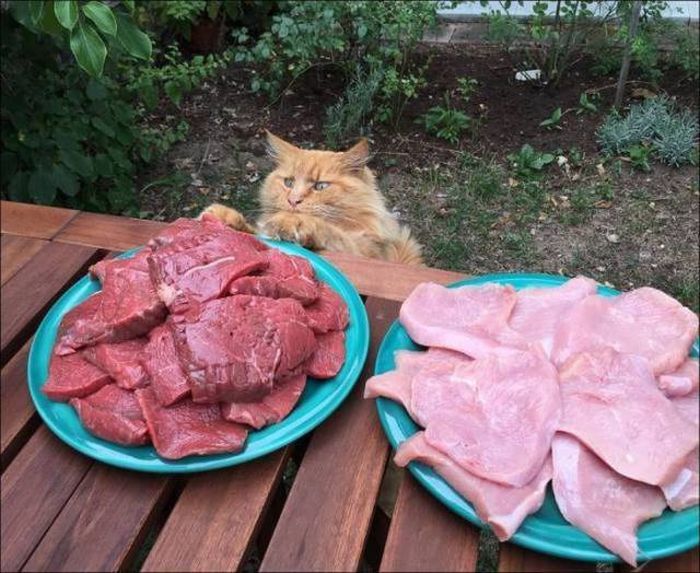 Прикольные картинки