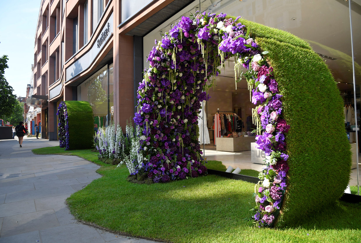Как прошла крупнейшая европейская цветочная выставка The RHS Chelsea Flower Show 2018