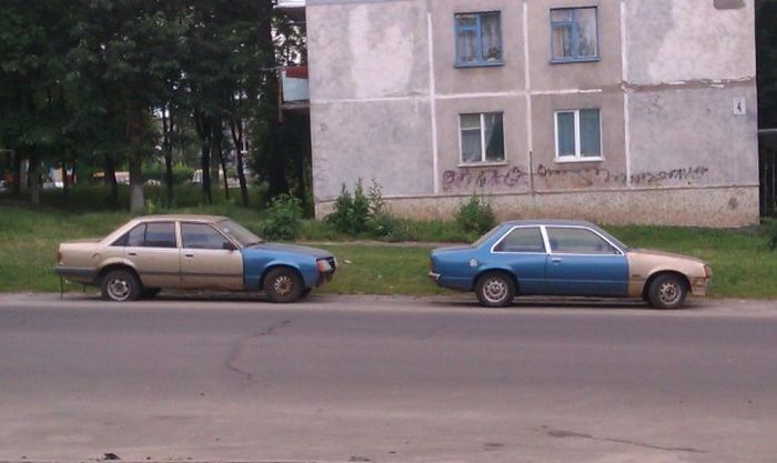 Прикольные картинки