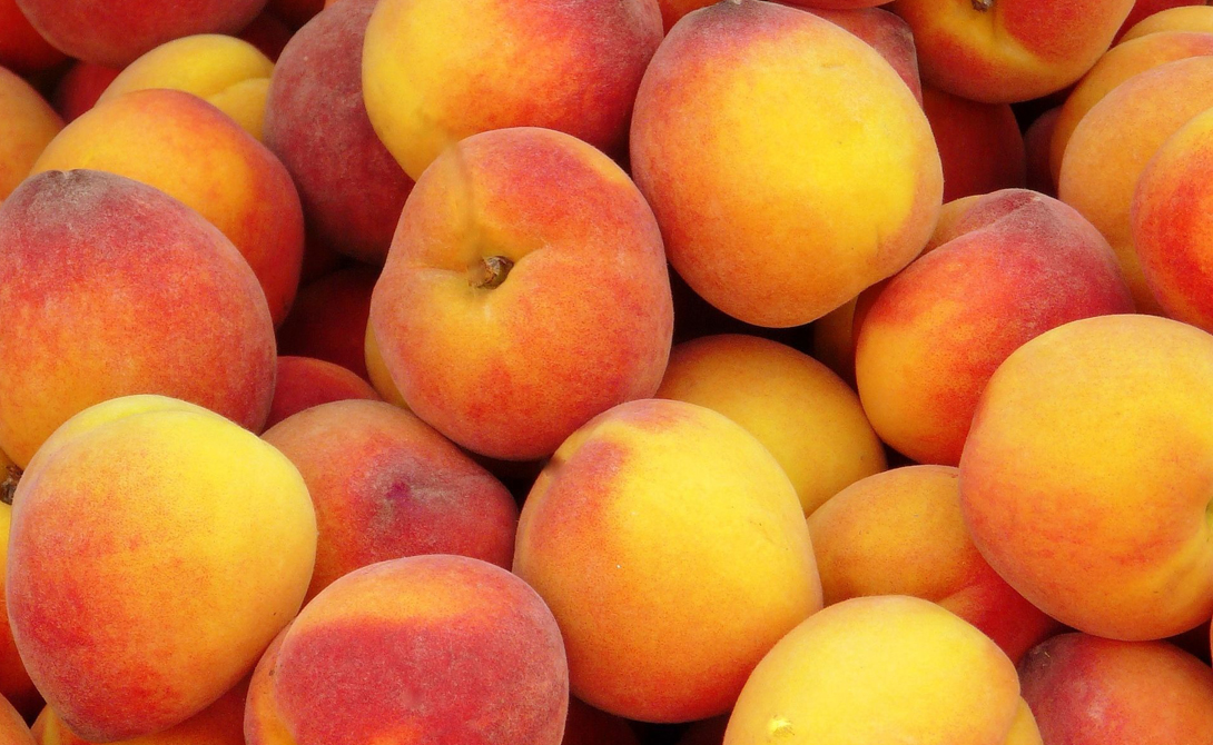 Топ-5 продуктов, богатых витамином С Топ-5 продуктов, богатых витамином С
