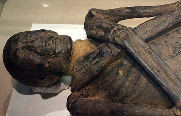 10 археологических находок, проливающих свет на жизнь в Древнем Египте 10 археологических находок, проливающих свет на жизнь в Древнем Египте